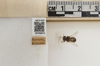 Media type: image;   Entomology 788872 Aspect: Labels